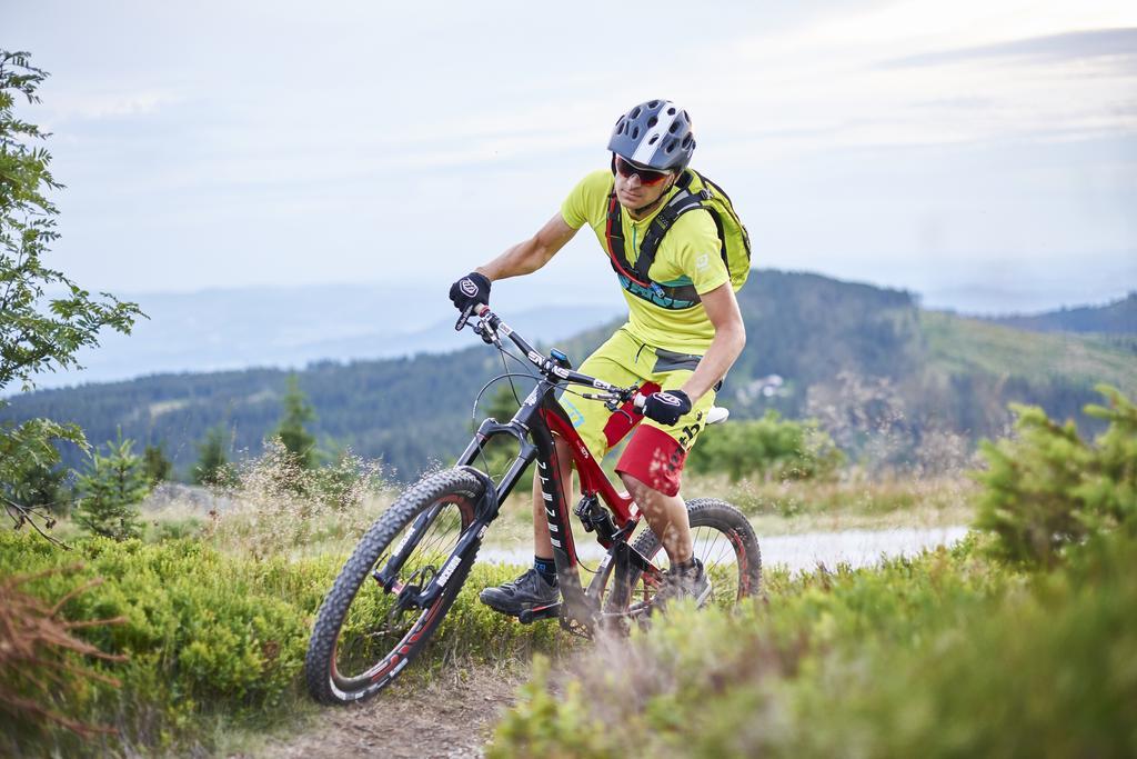 Komfort-&wellnesspension Rehwinkel Bodenmais